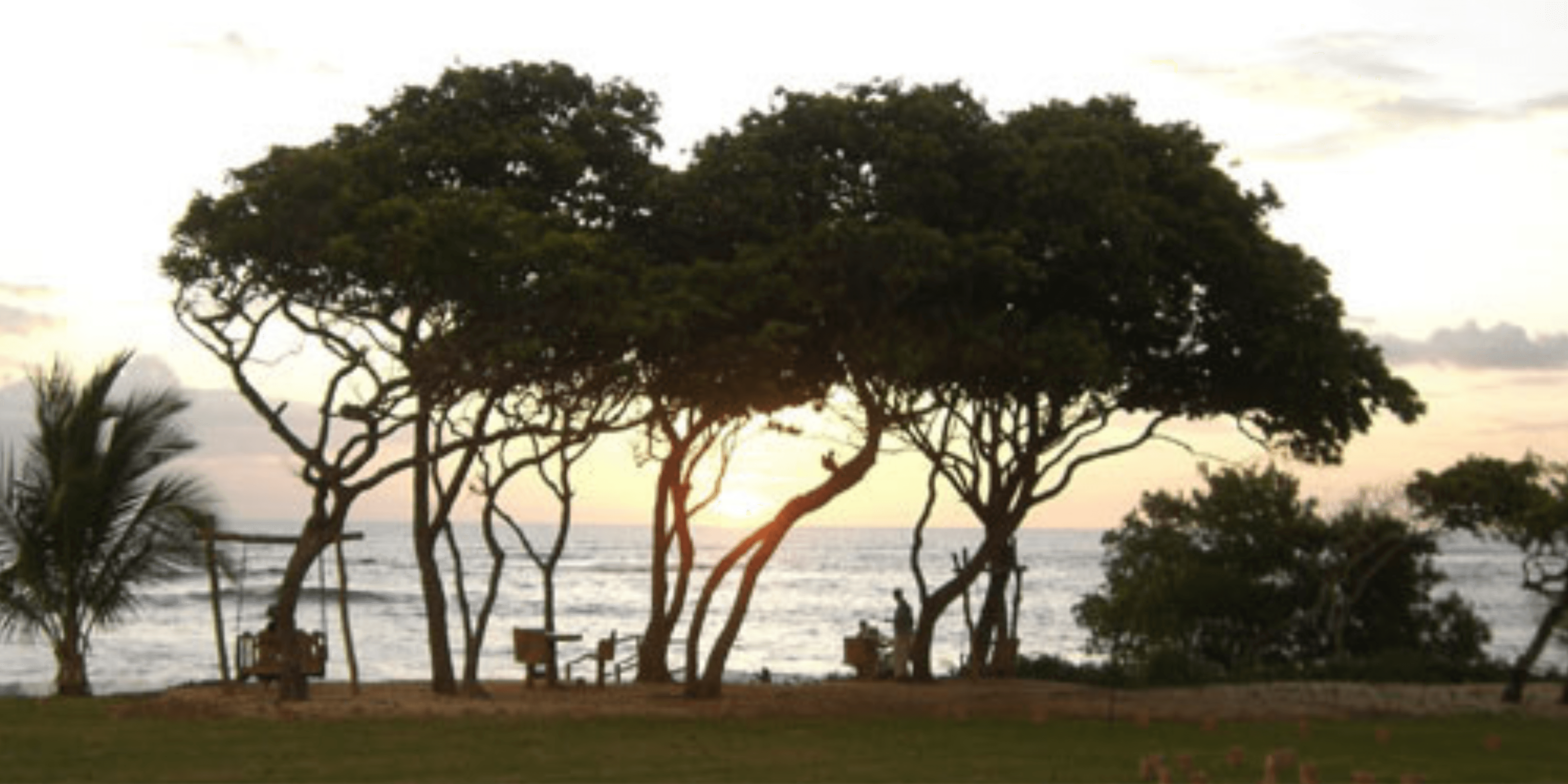 Cover Image for Global Partners